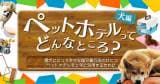Original.png?jp.co