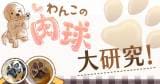 Original.png?jp.co