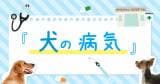 Original.png?jp.co