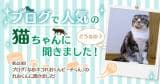 Original.png?jp.co