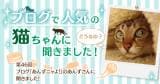 Original.png?jp.co