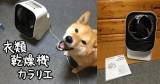 Original.png?jp.co