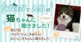 Original.png?jp.co
