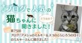 Original.png?jp.co