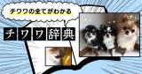 Original.png?jp.co