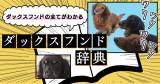 Original.png?jp.co
