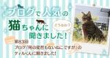 Original.png?jp.co