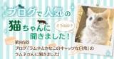 Original.png?jp.co