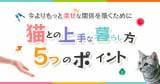 Original.png?jp.co