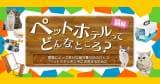 Original.png?jp.co