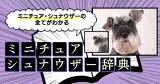 Original.png?jp.co