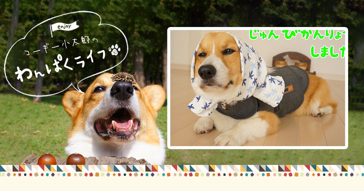 Original.png?jp.co