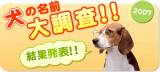 Original.gif?jp.co