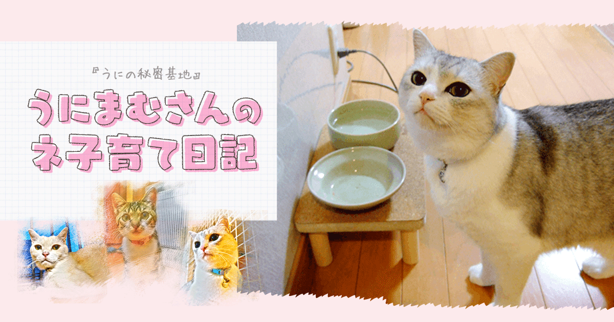 Original.png?jp.co
