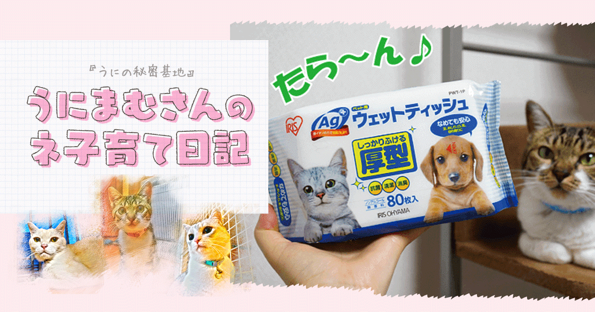 Original.png?jp.co