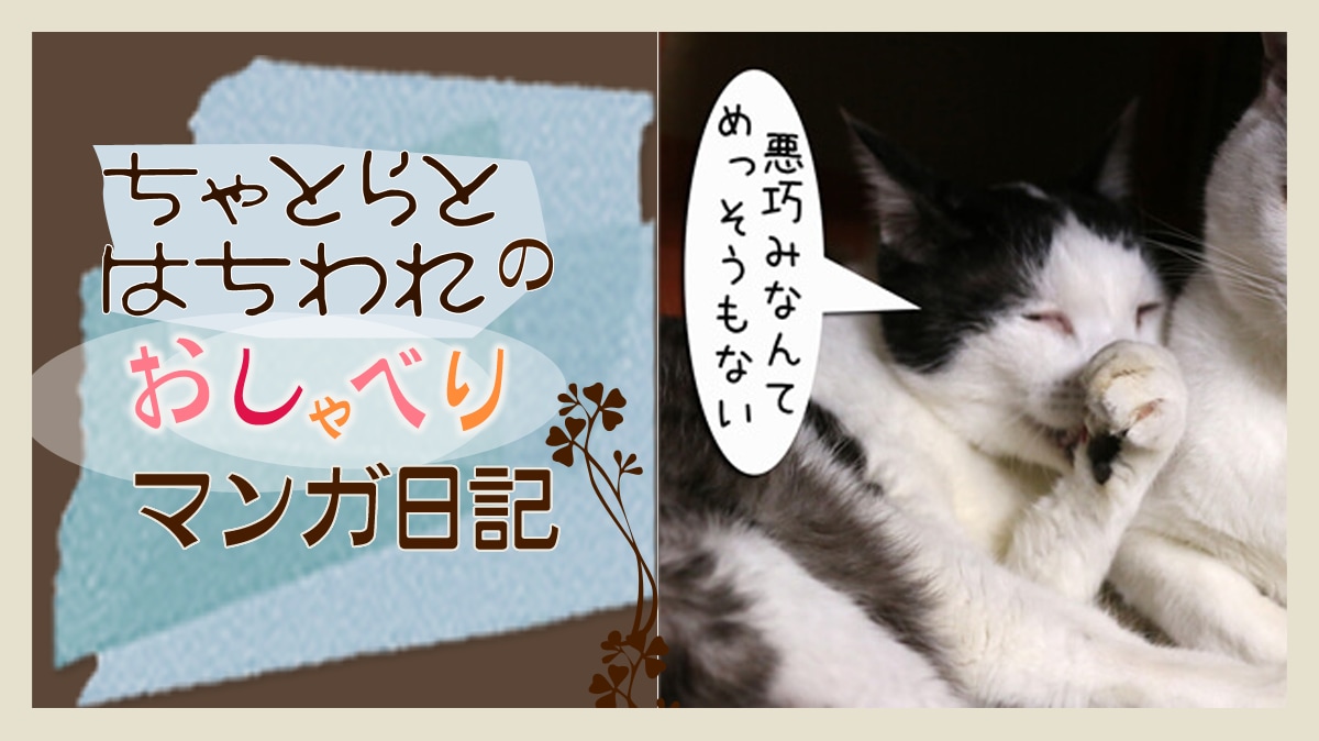 Original.png?jp.co