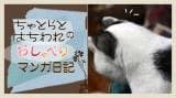 Original.png?jp.co