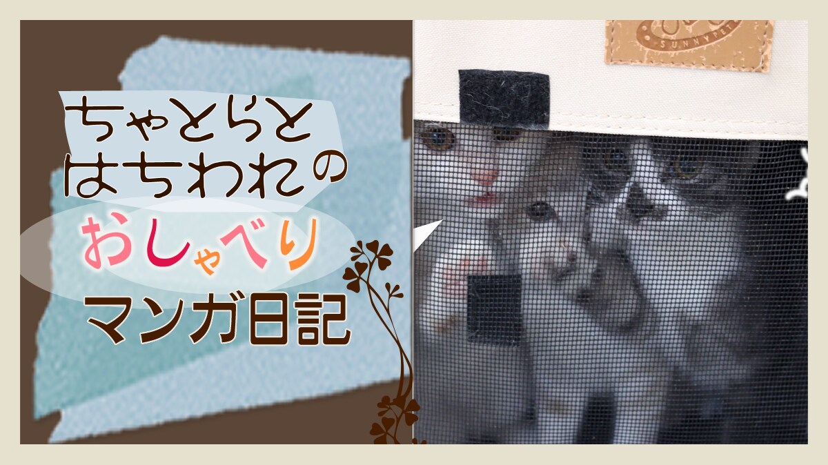 Original.png?jp.co
