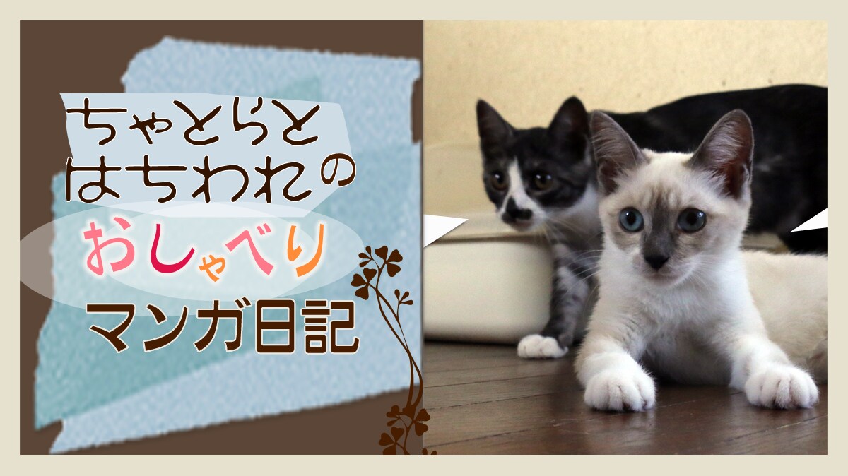Original.png?jp.co