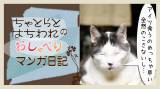 Original.png?jp.co