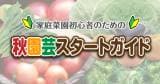 Original.png?jp.co