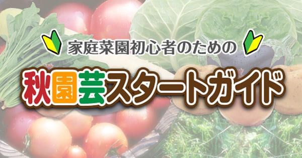 Original.png?jp.co