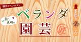 Original.png?jp.co