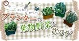 Original.png?jp.co