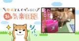 Original.png?jp.co