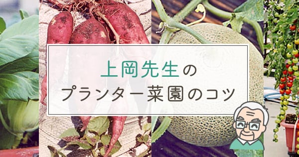 Original.png?jp.co