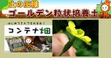 Original.png?jp.co