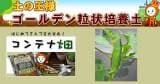 Original.png?jp.co