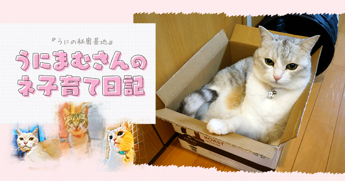 Original.png?jp.co
