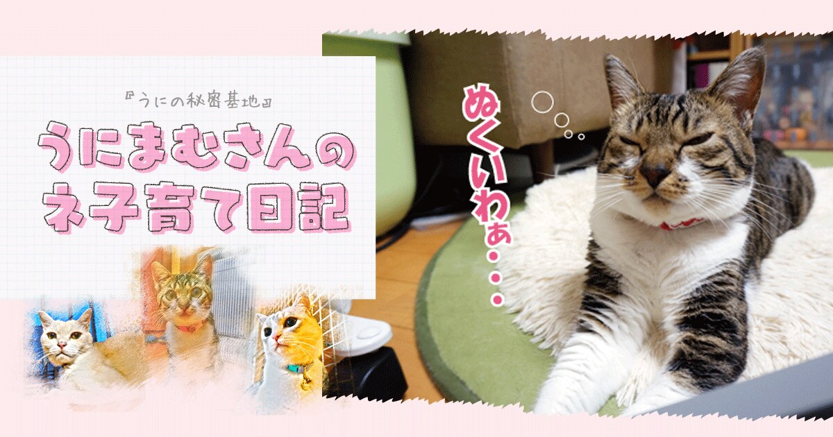 Original.png?jp.co