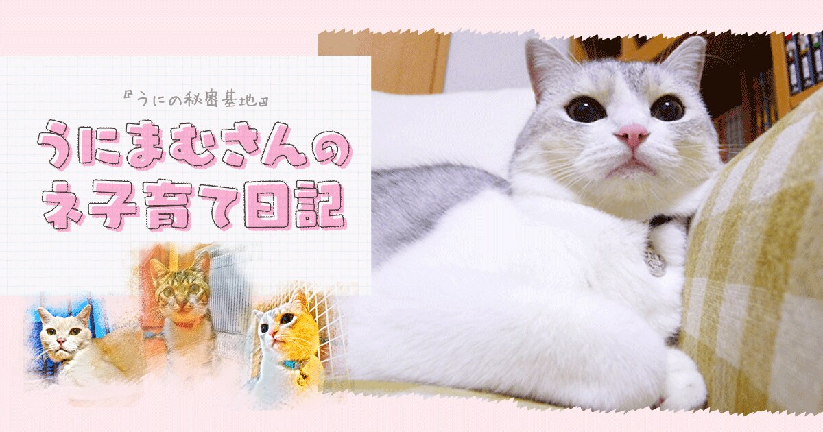 Original.png?jp.co