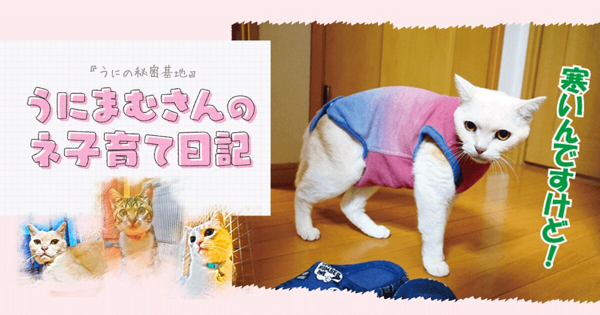 Original.png?jp.co