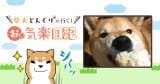 Original.png?jp.co