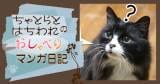 Original.png?jp.co
