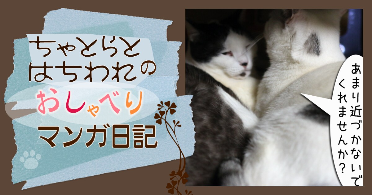 Original.png?jp.co