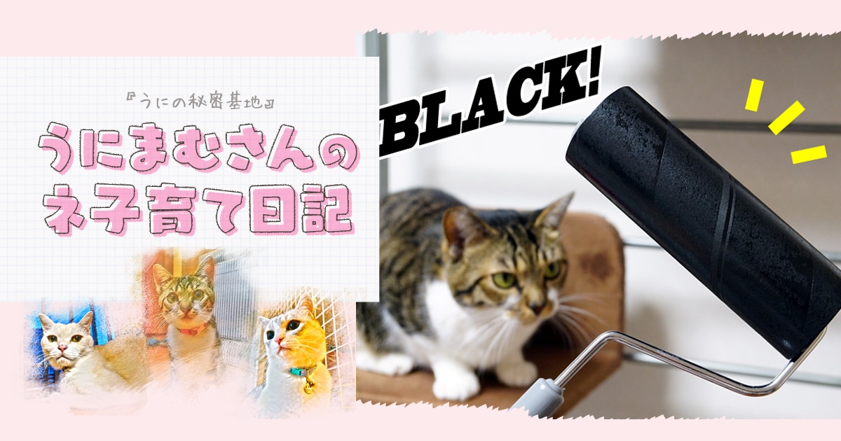 Original.png?jp.co