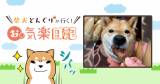 Original.png?jp.co