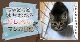 Original.png?jp.co