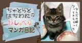 Original.png?jp.co