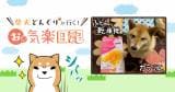 Original.png?jp.co