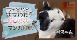 Original.png?jp.co