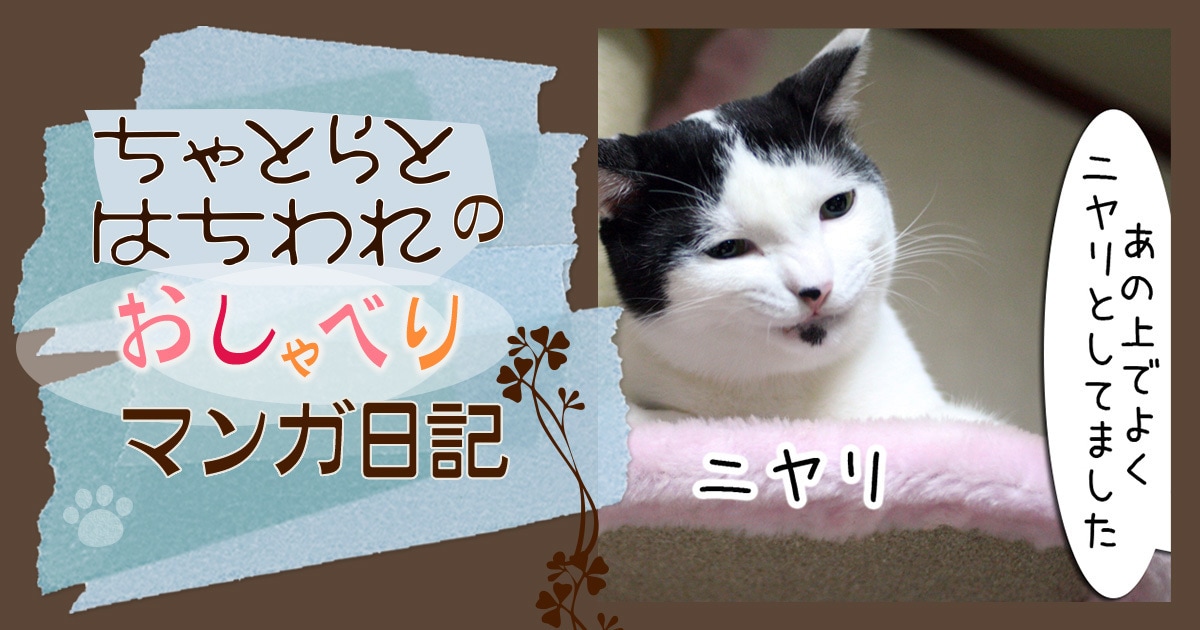 Original.jpg?jp.co