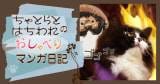 Original.jpg?jp.co
