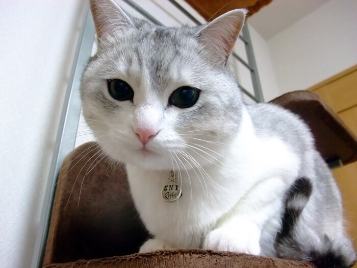 これって分離不安 うにまむさんのネ子育て日記 アイリスプラザ メディア