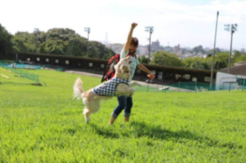 はっちの奮闘記 ブログ管理人はっち母さん登場 アイリスプラザ メディア