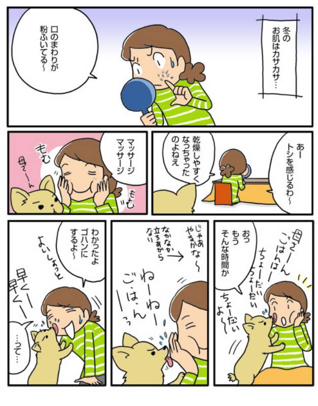 カサカサするのは アイリスプラザ メディア